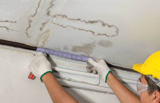 Reliable Mold Remediation contractor in Sparta, IL by Water Damage Irwin